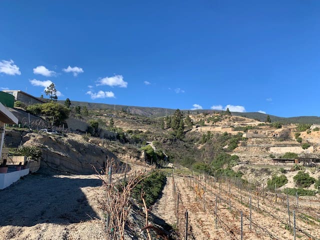 2 camera da letto Finca/Casa di Campagna in vendita in Fasnia - 369.000 € (Rif: 6582456)