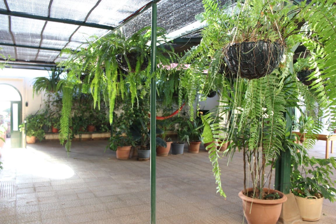 Villa til salg i San Isidro de Abona med swimmingpool garage - € 650.000 (Ref: 7236592)