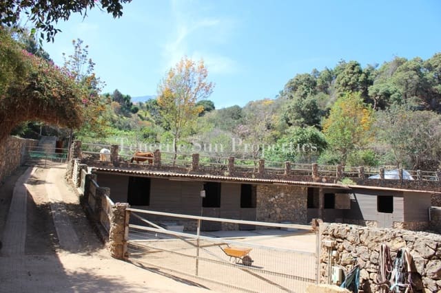 7 soverom Finca/Herregård til salgs i La Guancha med garasje - € 1 200 000 (Ref: 8277665)