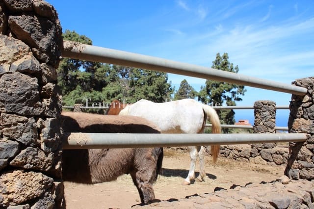 7 soverom Finca/Herregård til salgs i La Guancha med garasje - € 1 200 000 (Ref: 8277665)