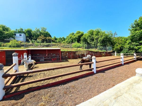 6 soveværelse Finca/Landehus til salg i La Orotava med garage - € 750.000 (Ref: 8329180)