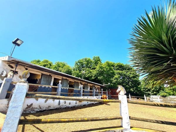 6 sovrum Finca/Hus på landet till salu i La Orotava med garage - 750 000 € (Ref: 8329180)