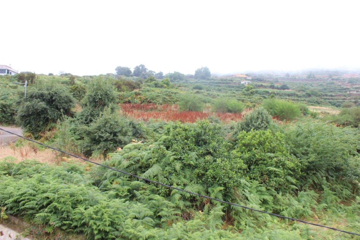 4 slaapkamer Finca/Landhuis te koop in Los Realejos - € 375.000 (Ref: 9188921)