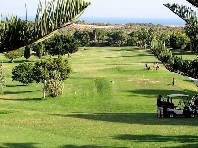 2 bedroom Apartment for sale in San Miguel de Salinas with pool garage - € 191,900 (Ref: 7315680)