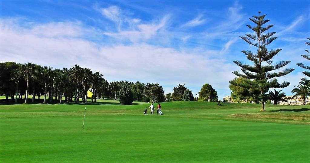 2 bedroom Apartment for sale in San Miguel de Salinas with pool garage - € 191,900 (Ref: 7315680)