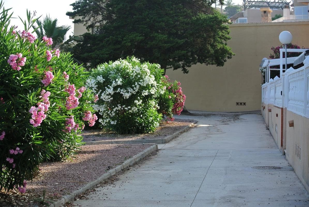 2 slaapkamer Appartement te koop in Torrevieja met zwembad - € 359.900 (Ref: 9088484)