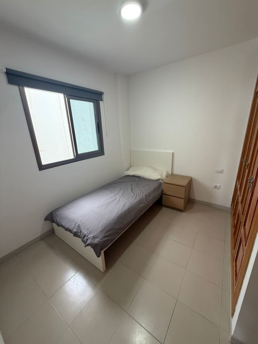 1 bedroom Flat for rent in San Cristobal de La Laguna - € 440 (Ref: 10033432)