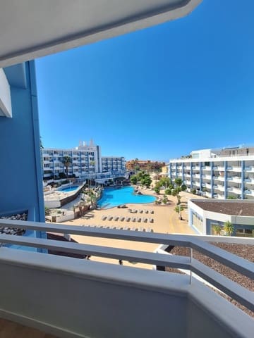 Studio for rent in Golf del Sur, San Miguel de Abona with pool garage - € 1,200 (Ref: 10051047)