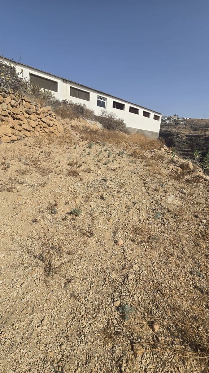 Terreno Non Edificato in vendita in Fasnia - 15.000 € (Rif: 10094196)