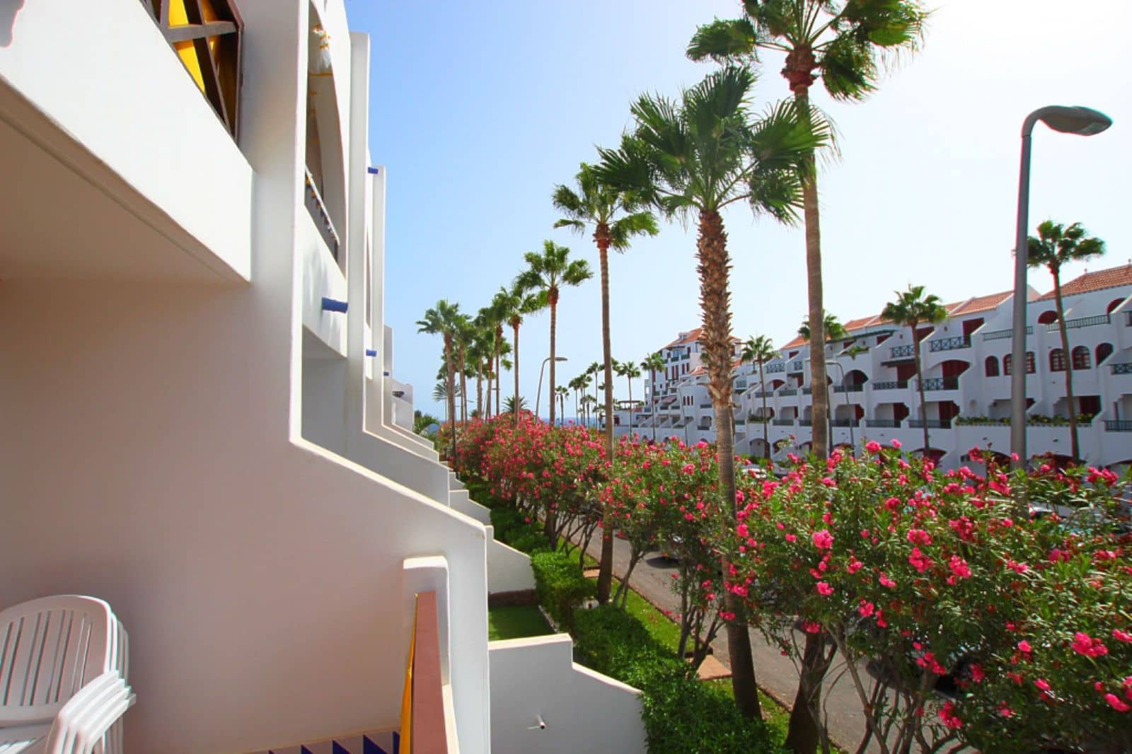 Studio for rent in Arona with pool - € 1,950 (Ref: 5486152)