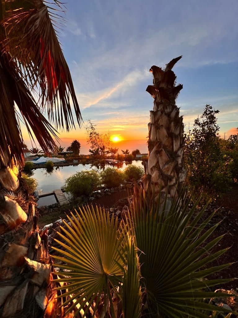 Finca/Landehus til salg i Guia de Isora - € 735.000 (Ref: 7541710)