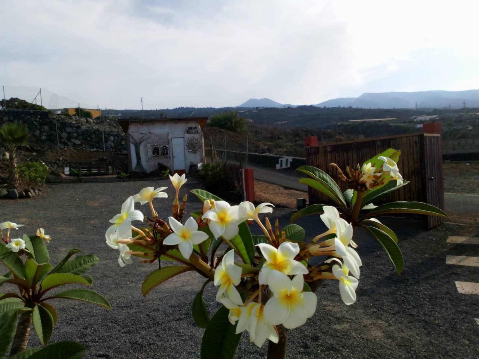 Finca/Landehus til salg i Guia de Isora - € 735.000 (Ref: 7541710)