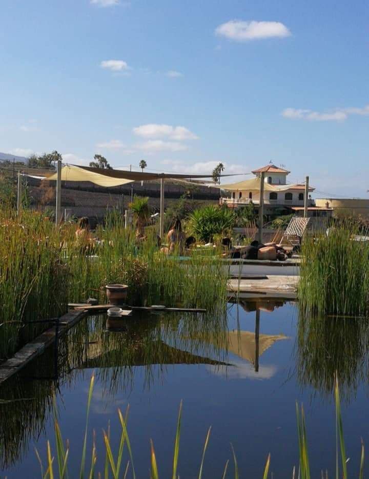 Finca/Landehus til salg i Guia de Isora - € 735.000 (Ref: 7541710)