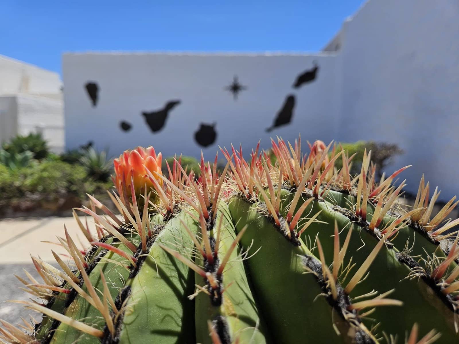 Studio à louer à Poris de Abona avec piscine - 980 € (Ref: 8422943)