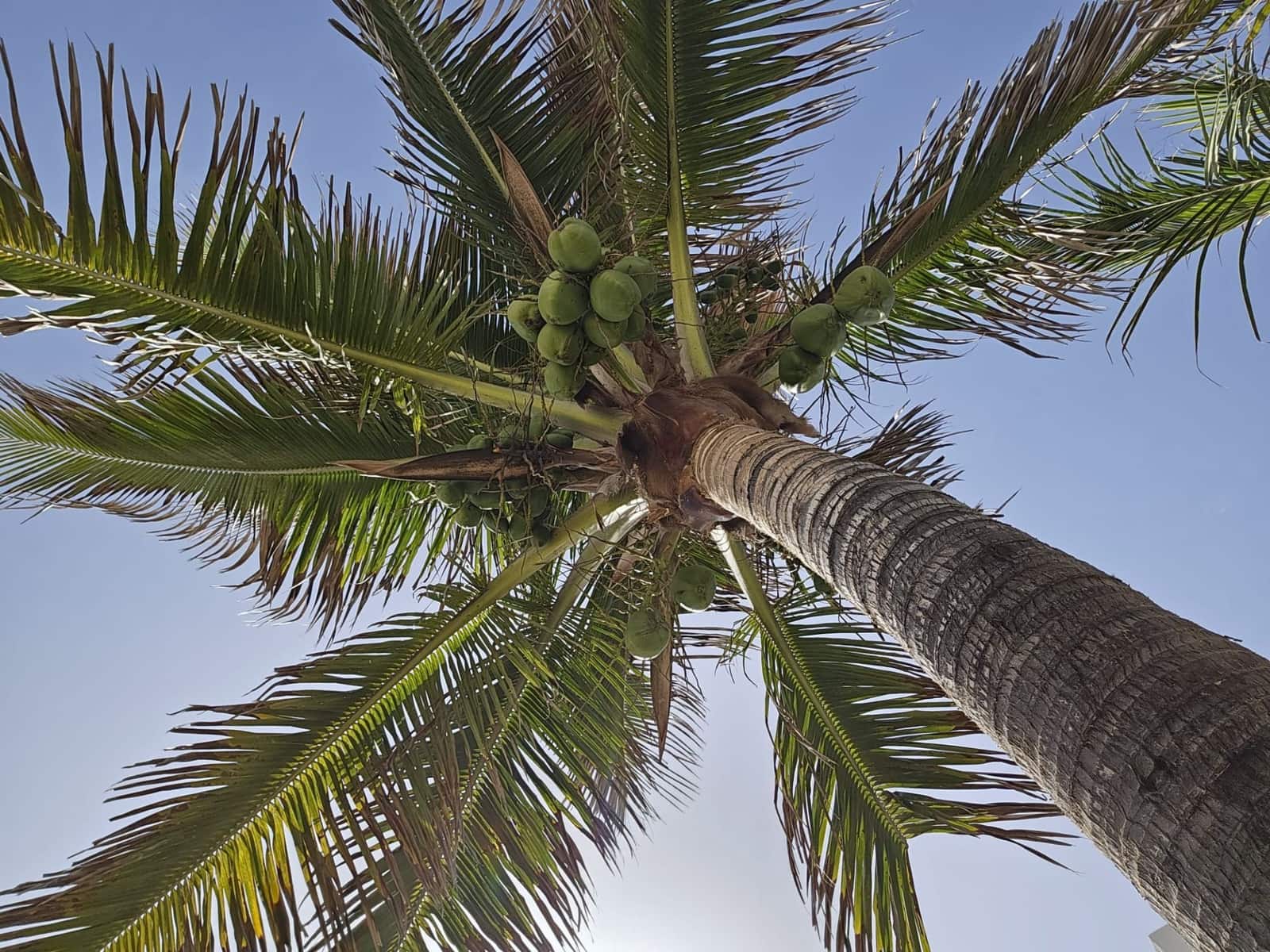 Studio à louer à Poris de Abona avec piscine - 980 € (Ref: 8422943)