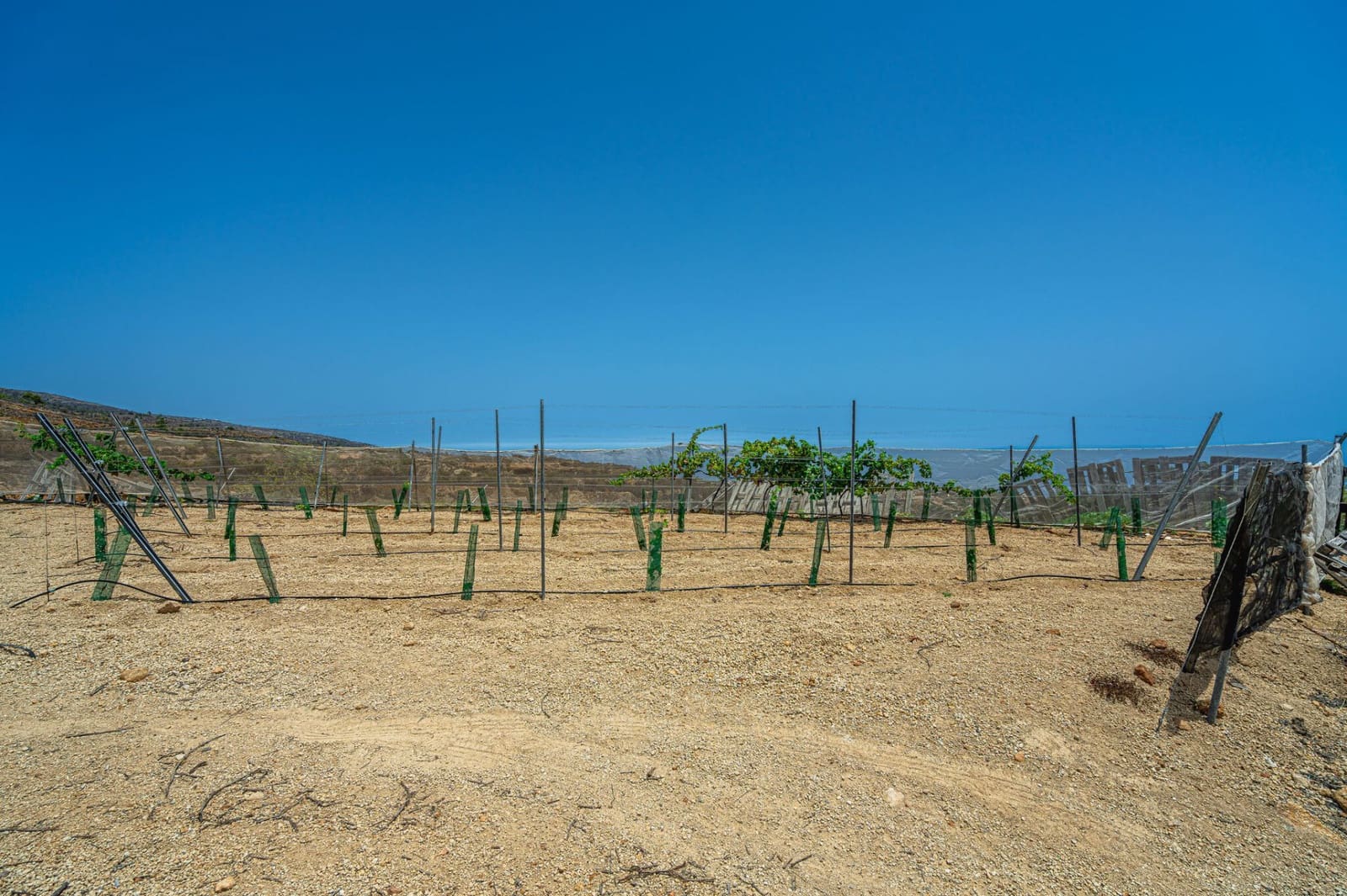 Finca/Herregård til salgs i La Sabinita - € 300 000 (Ref: 9074852)