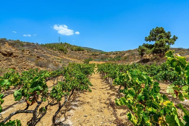 Finca/Casa di Campagna in vendita in La Sabinita, Arico - 300.000 € (Rif: 9074852)