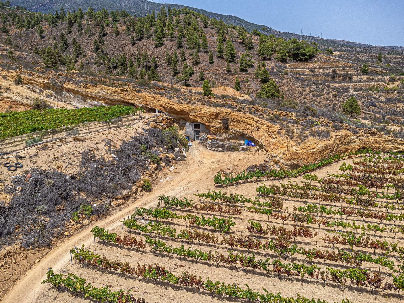 Finca/Herregård til salgs i La Sabinita - € 300 000 (Ref: 9074852)