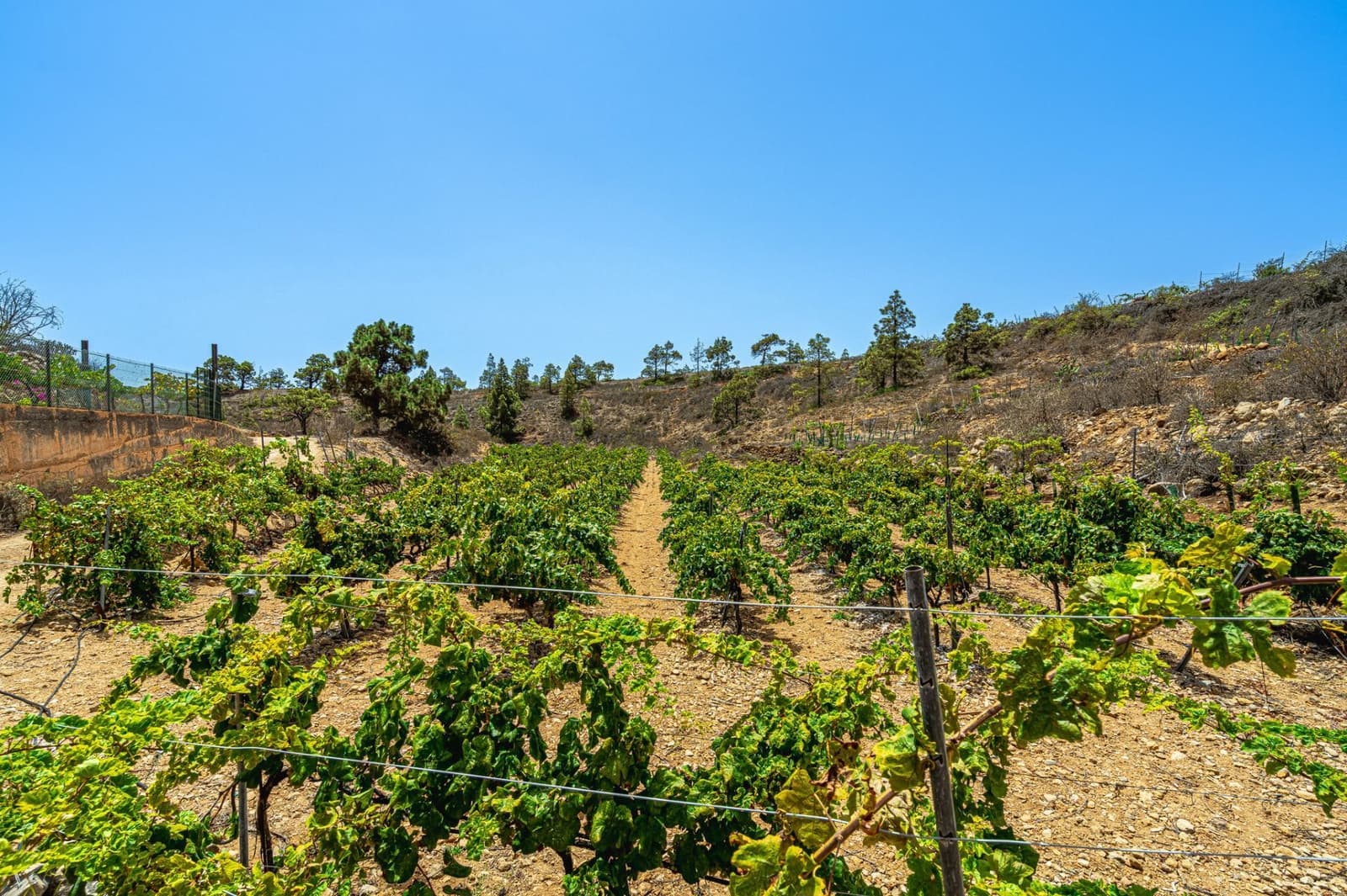 Finca/Herregård til salgs i La Sabinita - € 300 000 (Ref: 9074852)