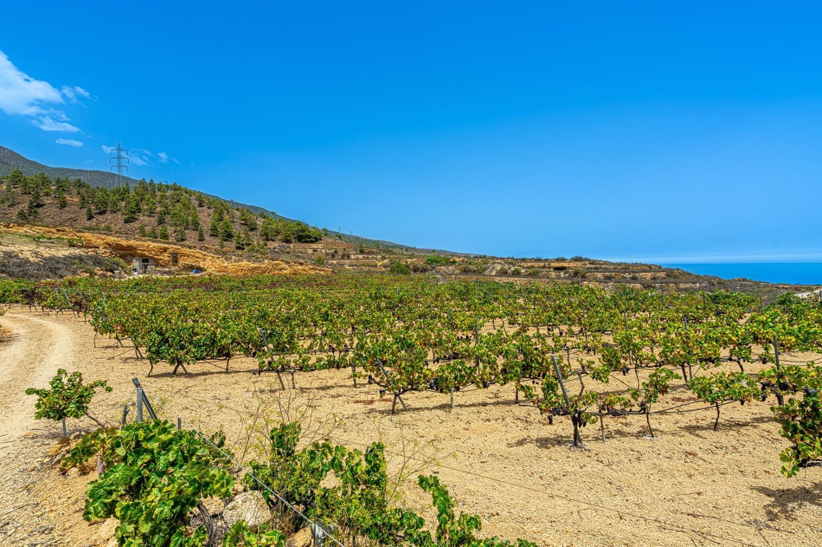 Finca/Herregård til salgs i La Sabinita - € 300 000 (Ref: 9074852)