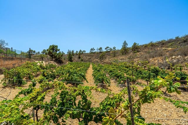 Finca/Casa di Campagna in vendita in La Sabinita, Arico - 300.000 € (Rif: 9074852)