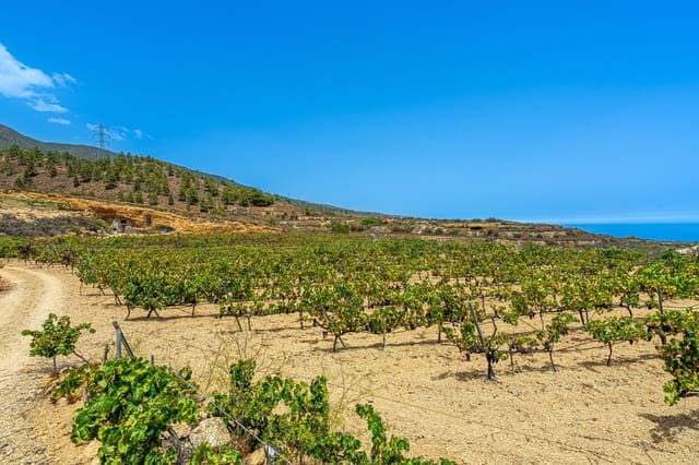 Finca/Casa di Campagna in vendita in La Sabinita, Arico - 300.000 € (Rif: 9074852)