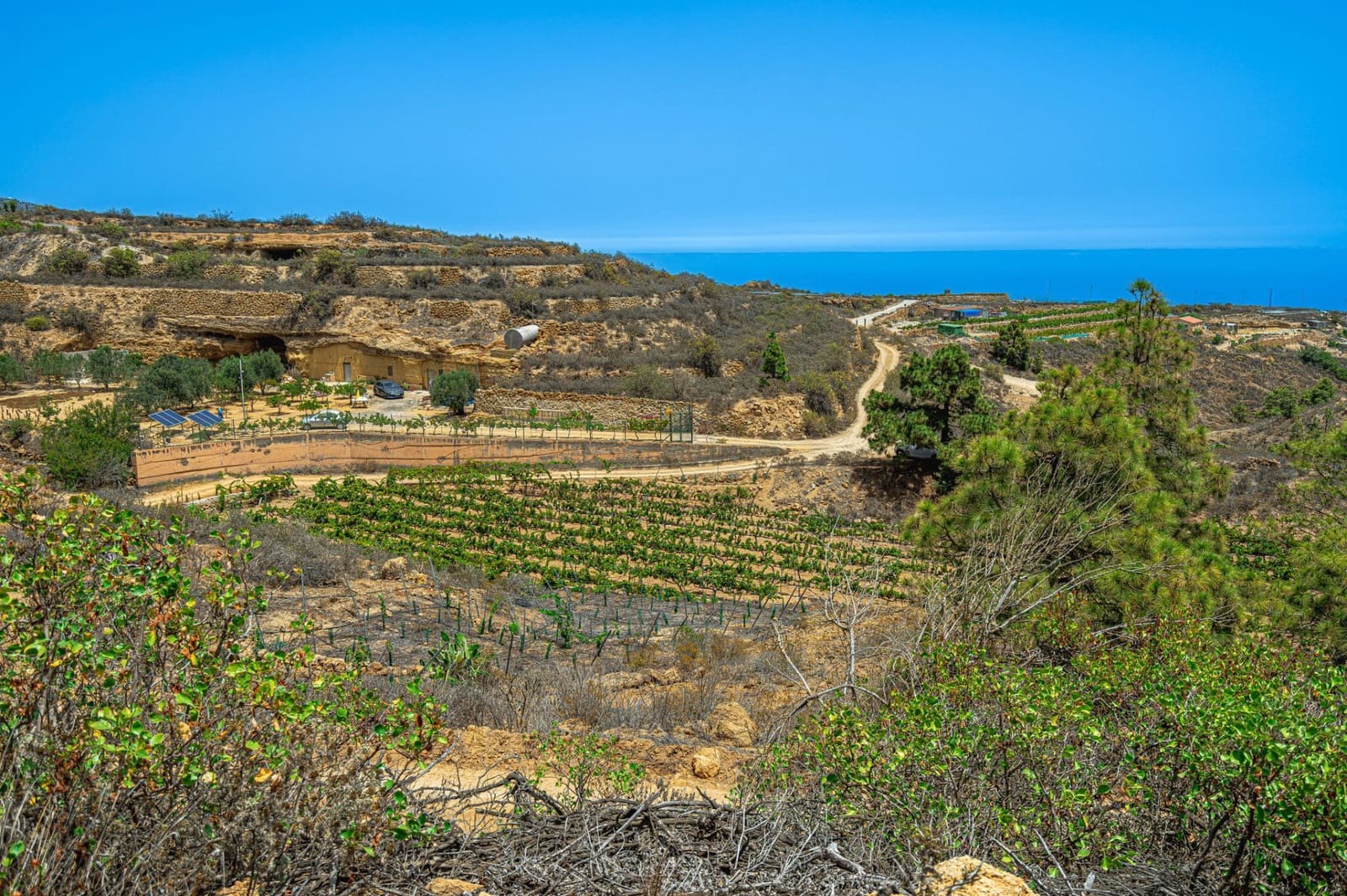 Finca/Herregård til salgs i La Sabinita - € 300 000 (Ref: 9074852)