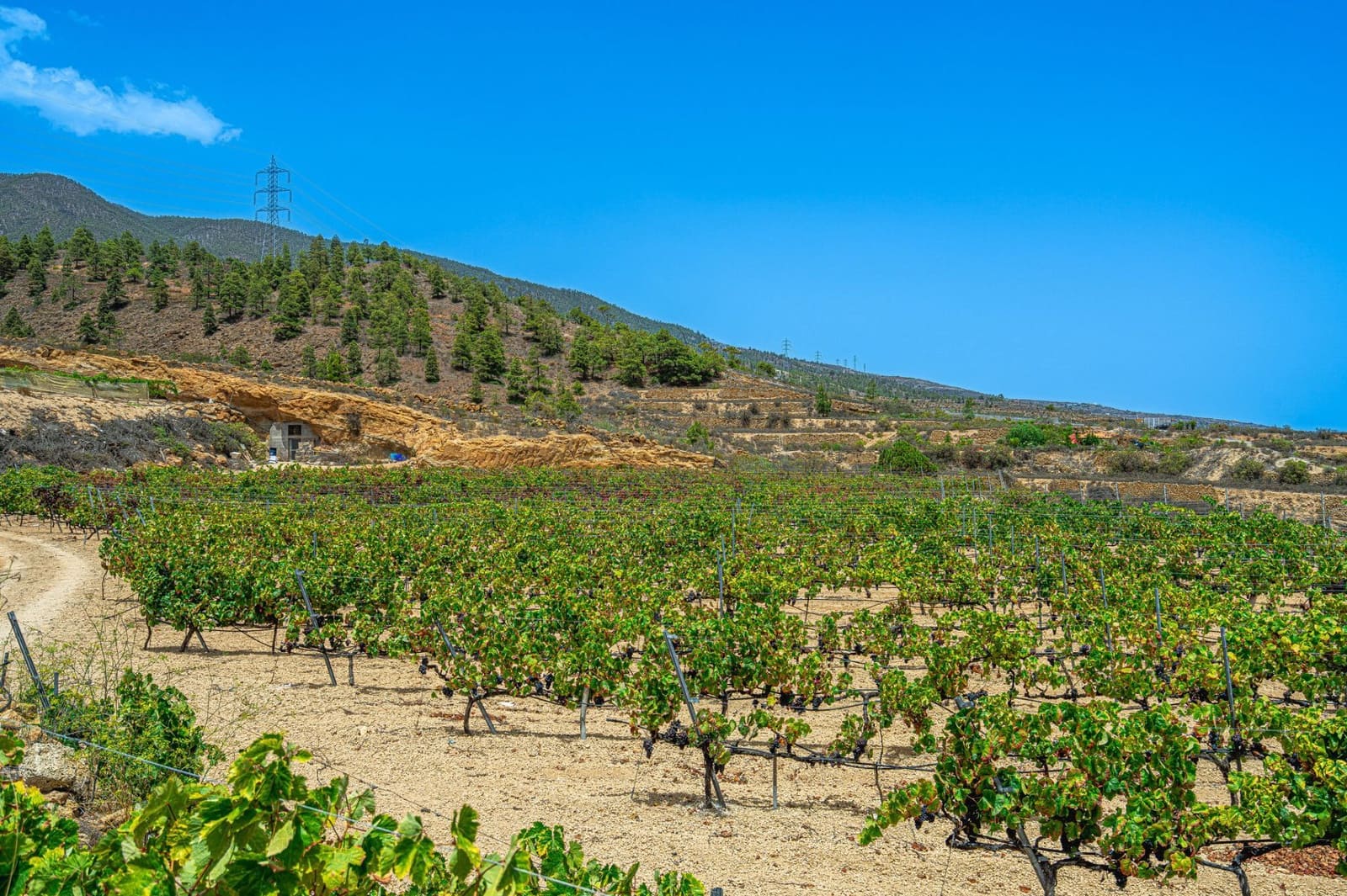 Finca/Herregård til salgs i La Sabinita - € 300 000 (Ref: 9074852)