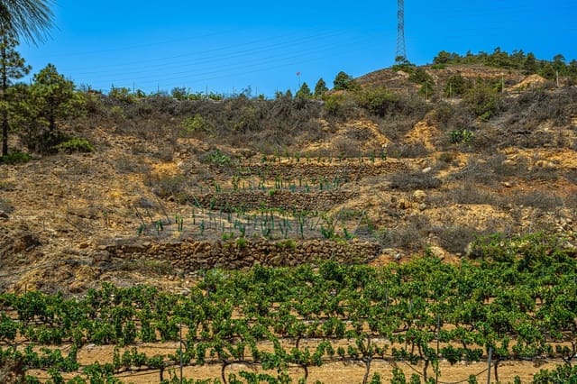 Finca/Casa di Campagna in vendita in La Sabinita, Arico - 300.000 € (Rif: 9074852)