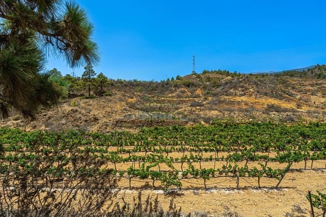 Finca/Casa di Campagna in vendita in La Sabinita, Arico - 300.000 € (Rif: 9074852)