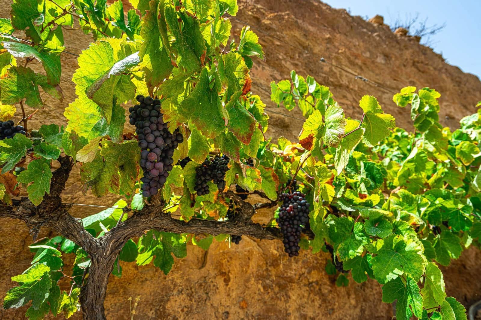 Finca/Herregård til salgs i La Sabinita - € 300 000 (Ref: 9074852)