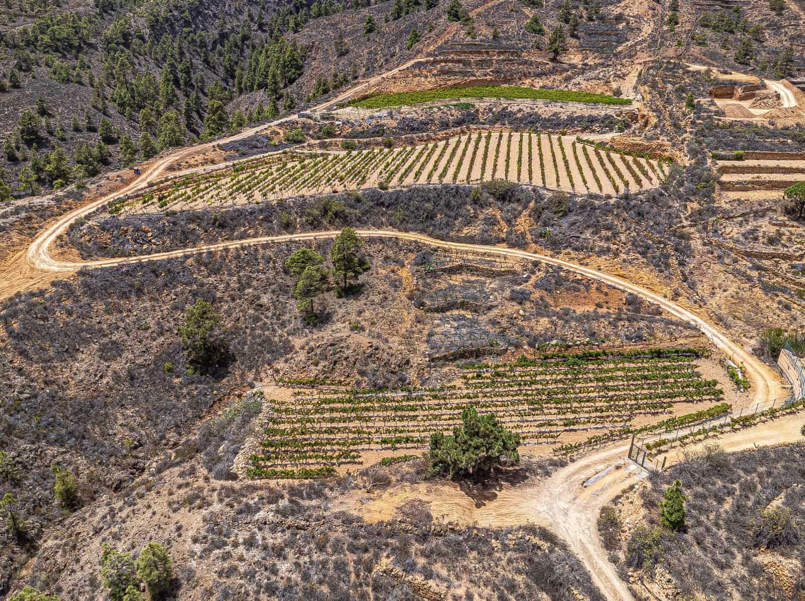 Finca/Herregård til salgs i La Sabinita - € 300 000 (Ref: 9074852)