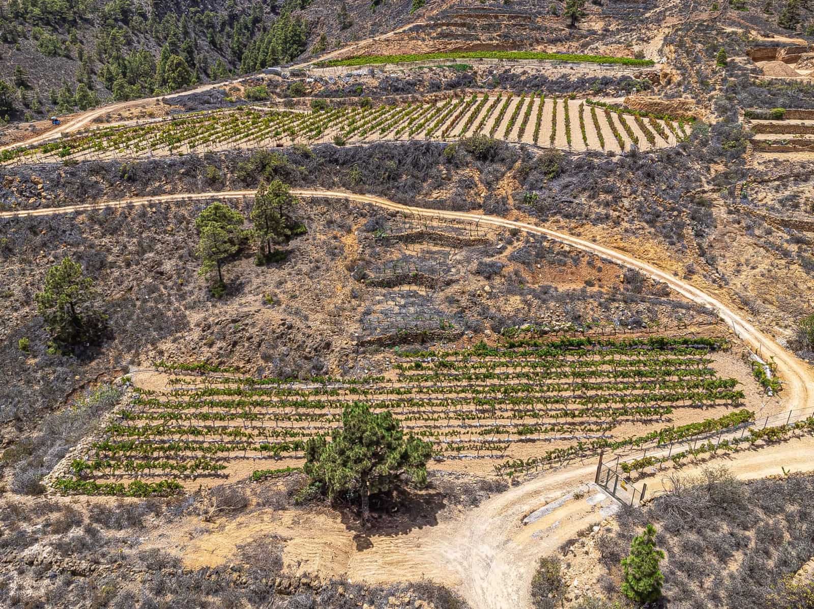 Finca/Herregård til salgs i La Sabinita - € 300 000 (Ref: 9074852)