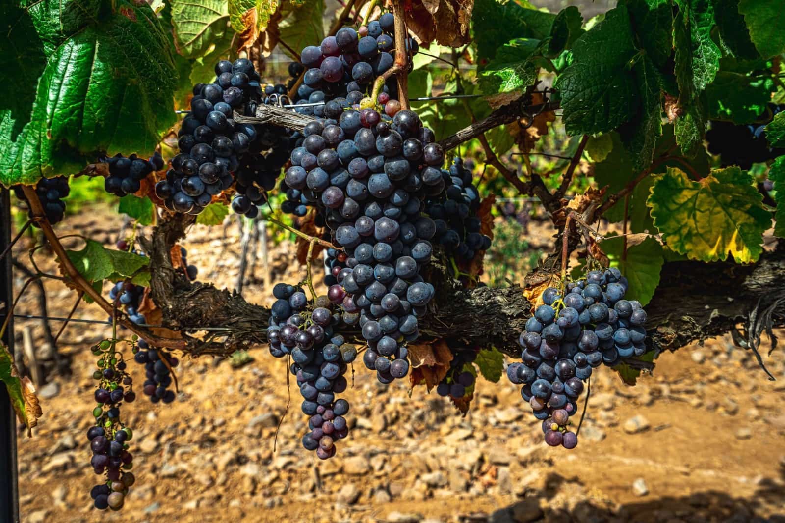 Finka/Dom wiejski na sprzedaż w La Sabinita - 300 000 € (Ref: 9074853)