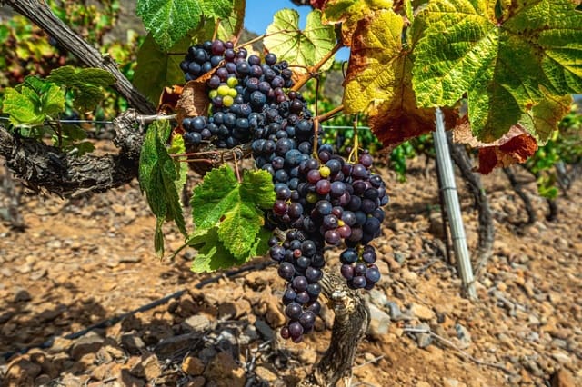 Finca/Casa di Campagna in vendita in La Sabinita, Arico - 300.000 € (Rif: 9074853)