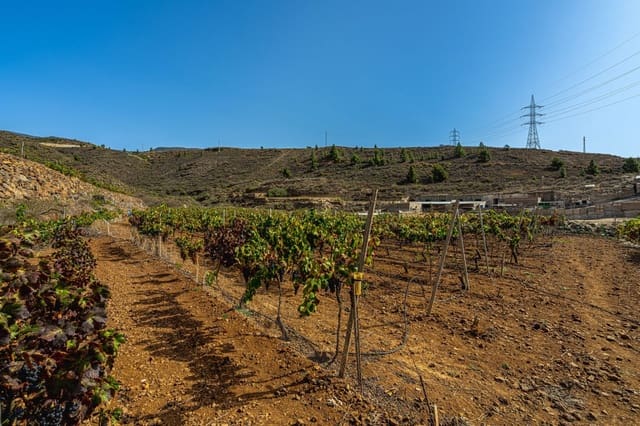 Finca/Casa di Campagna in vendita in La Sabinita, Arico - 300.000 € (Rif: 9074853)