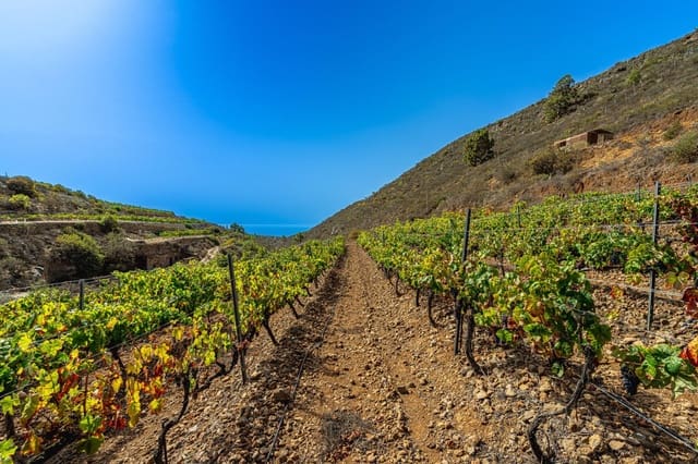 Finca/Casa di Campagna in vendita in La Sabinita, Arico - 300.000 € (Rif: 9074853)