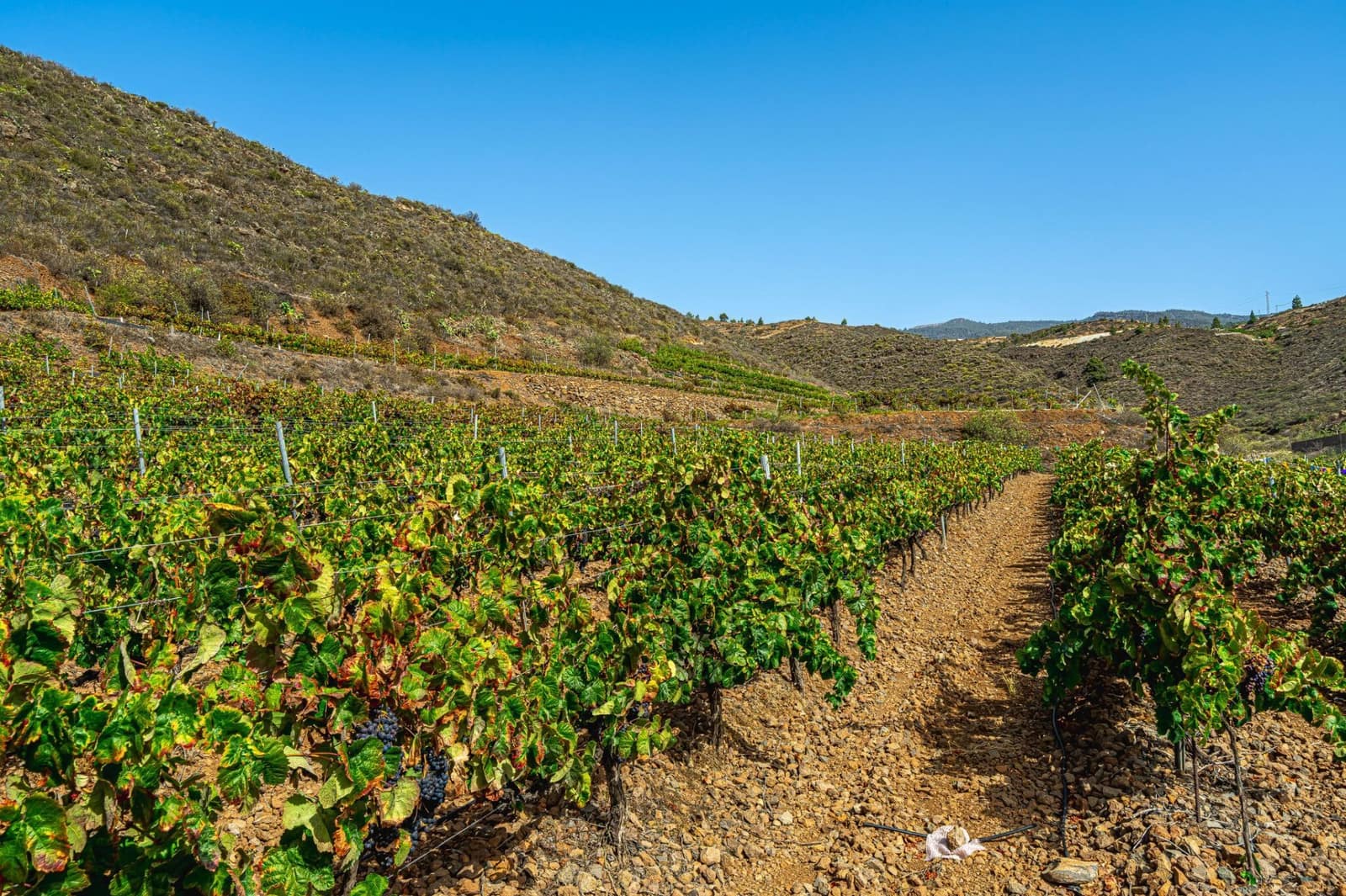 Finka/Dom wiejski na sprzedaż w La Sabinita - 300 000 € (Ref: 9074853)