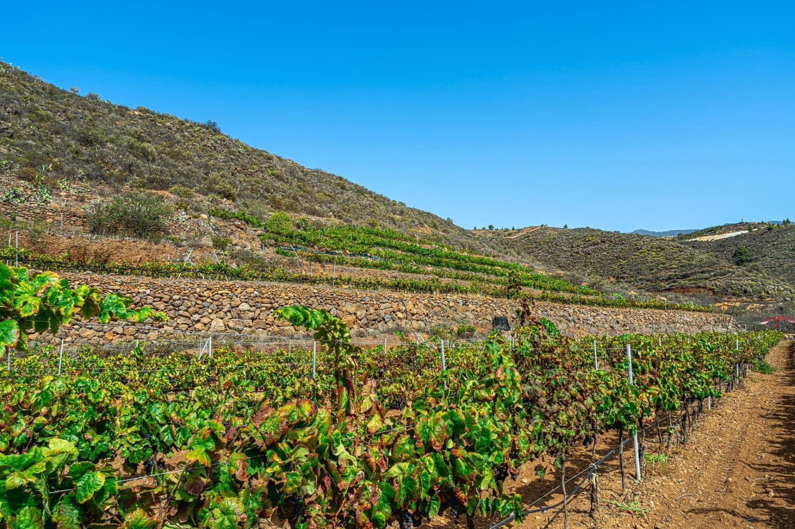 Finka/Dom wiejski na sprzedaż w La Sabinita - 300 000 € (Ref: 9074853)