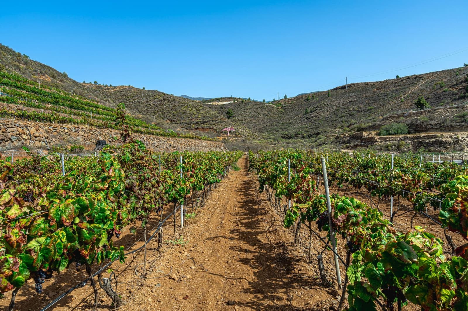 Finka/Dom wiejski na sprzedaż w La Sabinita - 300 000 € (Ref: 9074853)