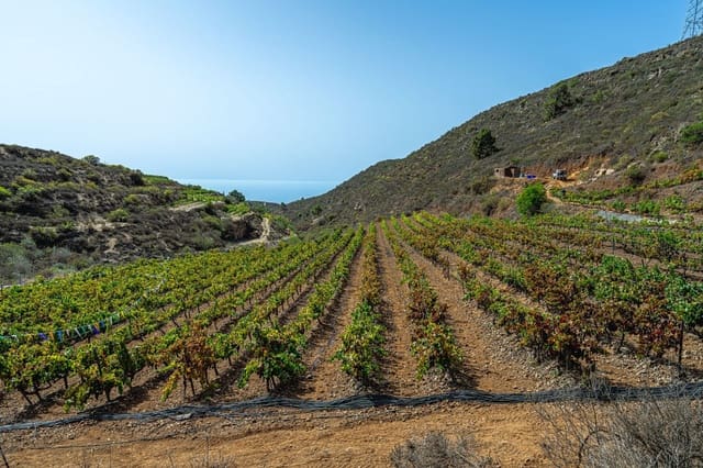 Finca/Casa di Campagna in vendita in La Sabinita, Arico - 298.000 € (Rif: 9074853)