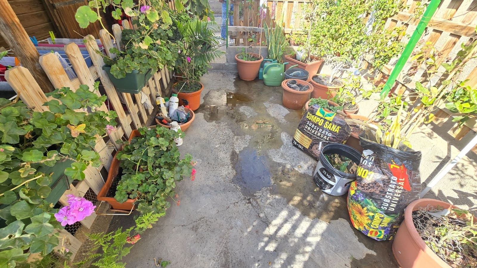 1 bedroom Studio for rent in San Isidro de Abona - € 750 (Ref: 9735202)