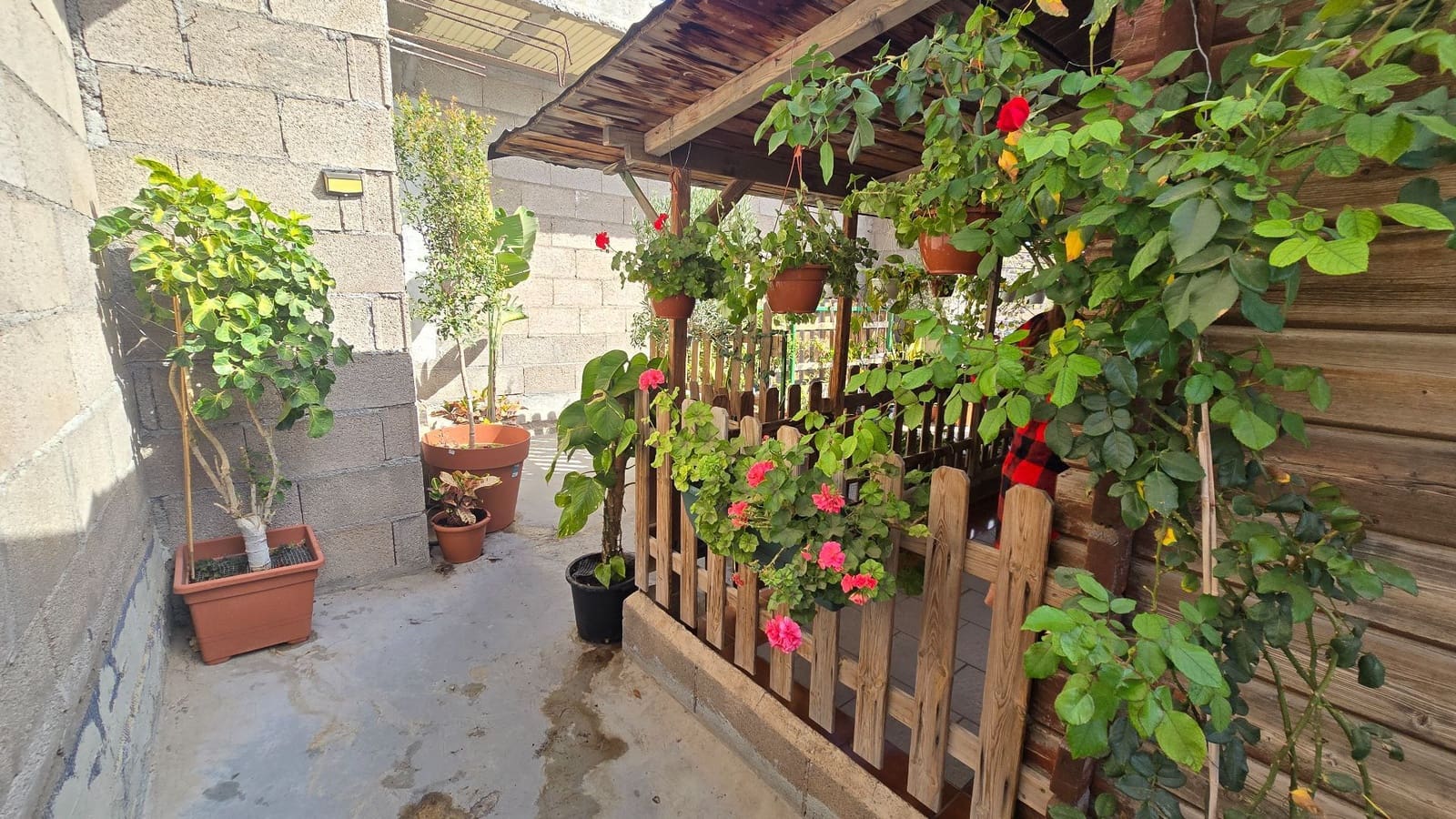 1 bedroom Studio for rent in San Isidro de Abona - € 750 (Ref: 9735202)