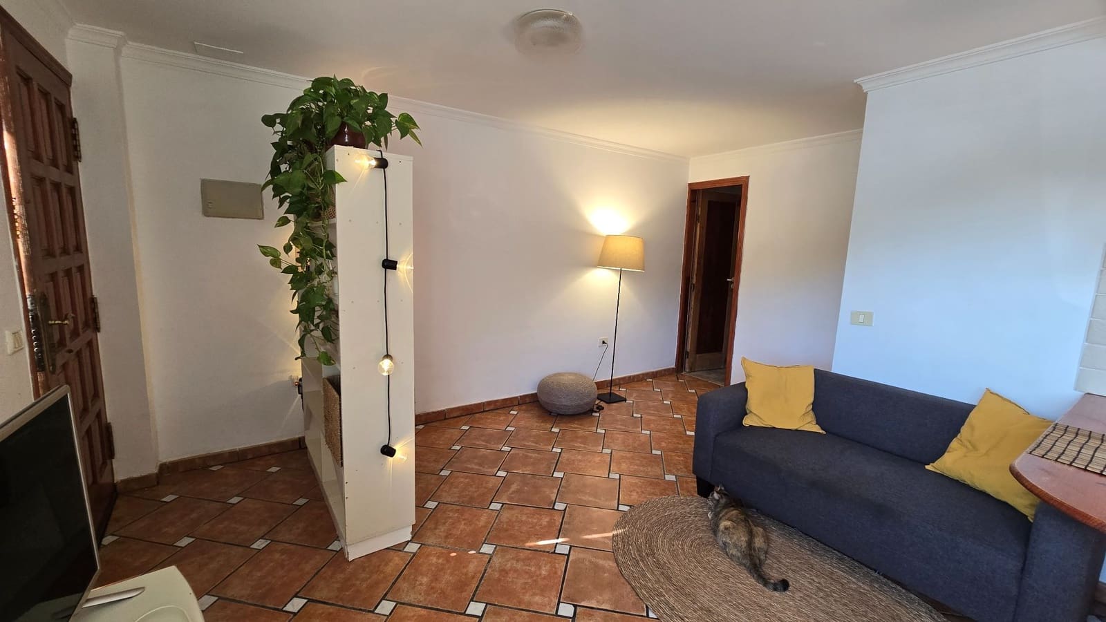 1 soverom Leilighet til leie i San Isidro de Abona - € 750 (Ref: 9806091)