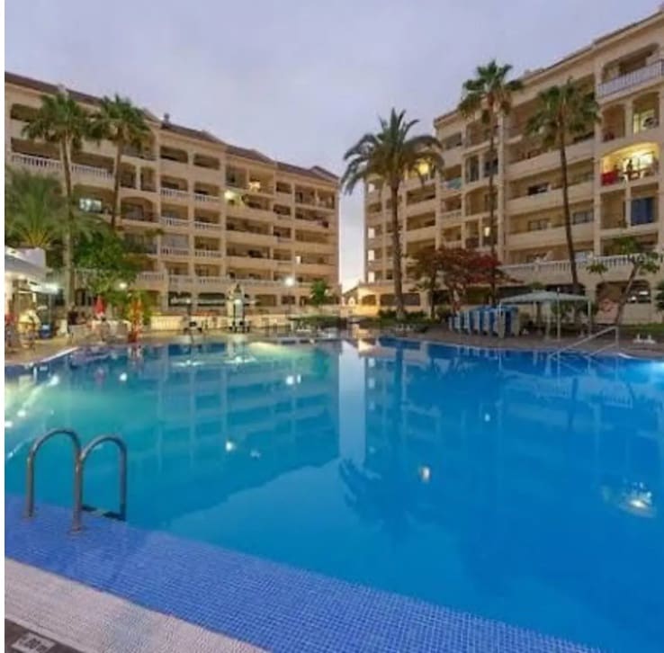 Studio for rent in Los Cristianos with pool - € 1,200 (Ref: 9956777)