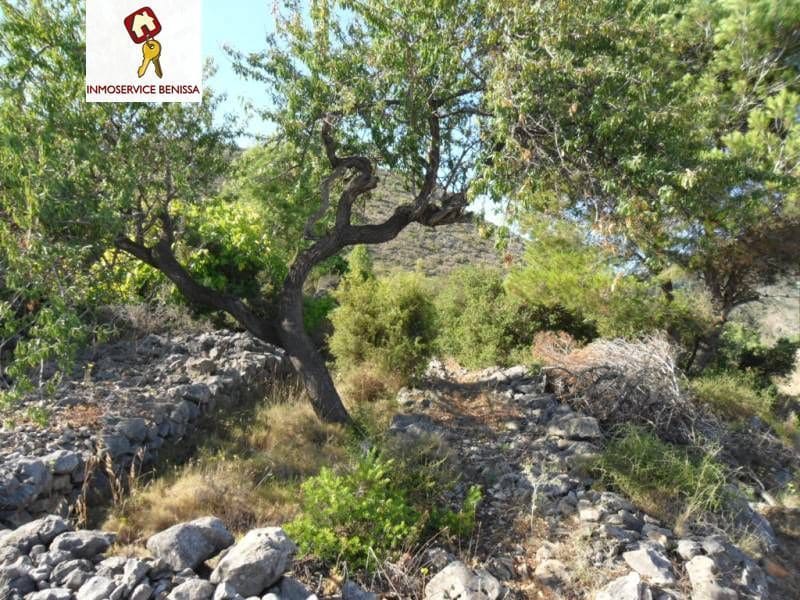 Mark till salu i Senija - 135 000 € (Ref: 9550796)