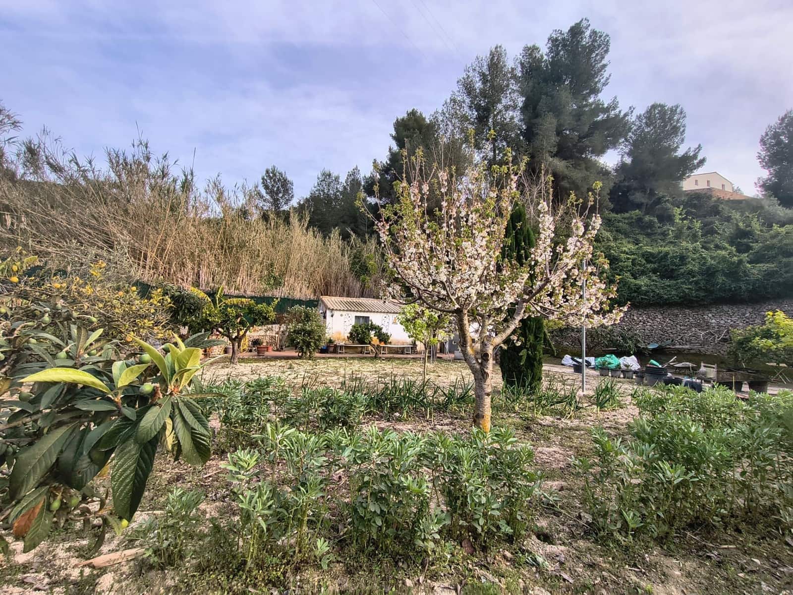 Undeveloped Land for sale in Benissa - € 185,000 (Ref: 9737923)