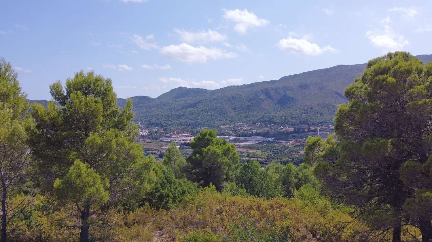 Building Plot for sale in Ador - € 180,000 (Ref: 10026696)