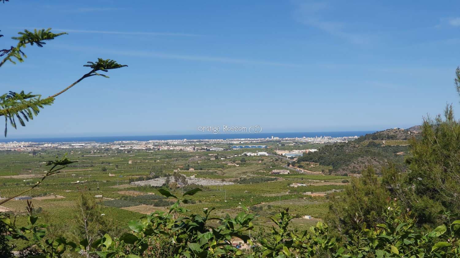 3 soveværelse Villa til salg i Ador med swimmingpool garage - € 449.000 (Ref: 7921183)