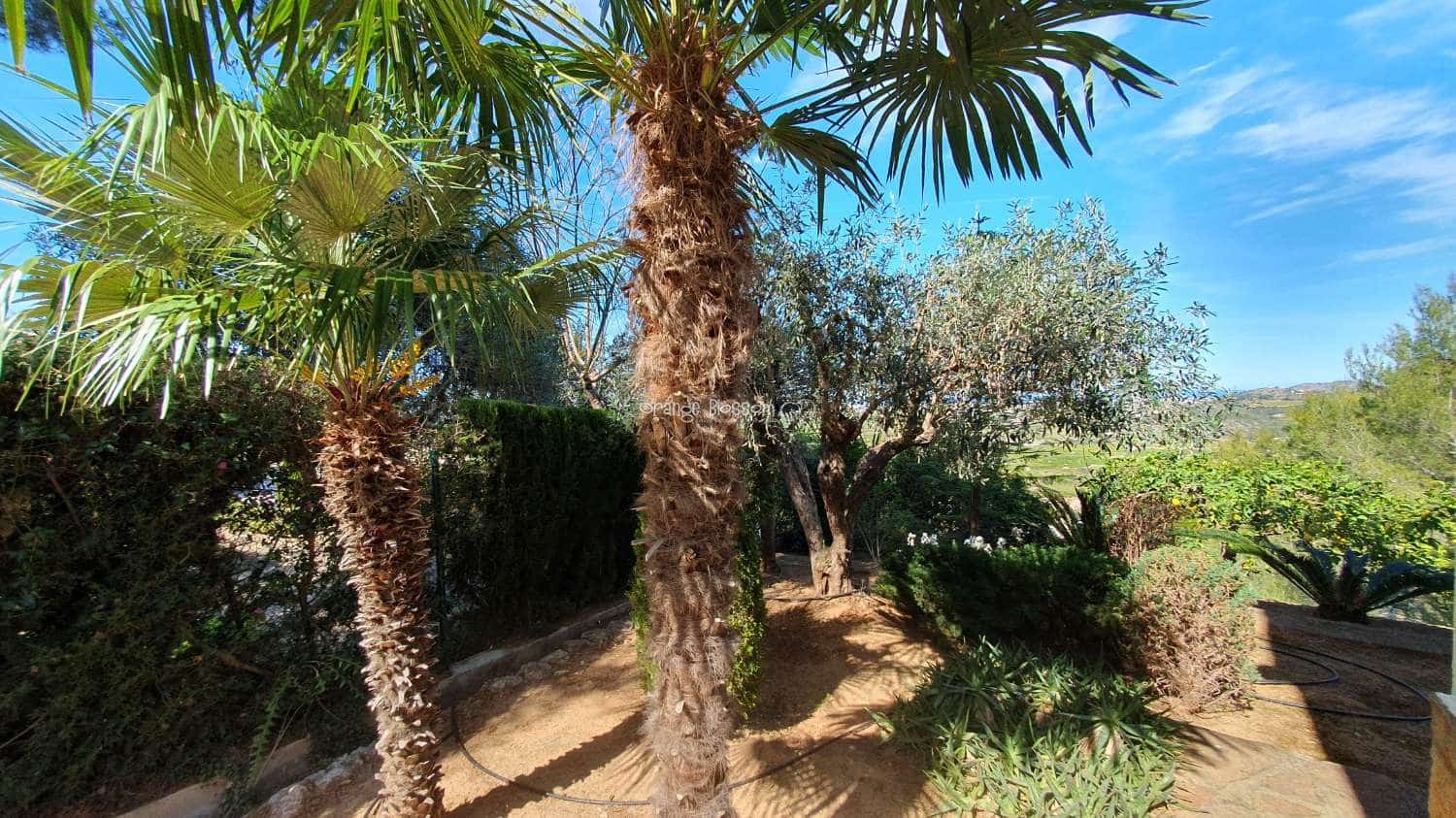 3 soveværelse Villa til salg i Ador med swimmingpool garage - € 449.000 (Ref: 7921183)